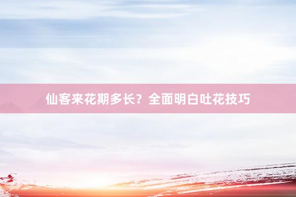 仙客来花期多长？全面明白吐花技巧