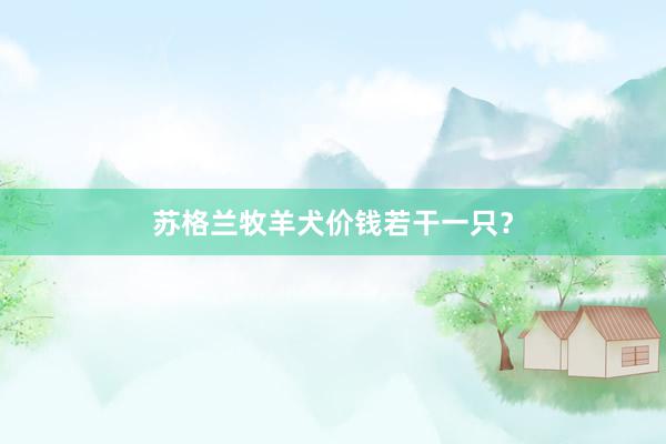 苏格兰牧羊犬价钱若干一只？