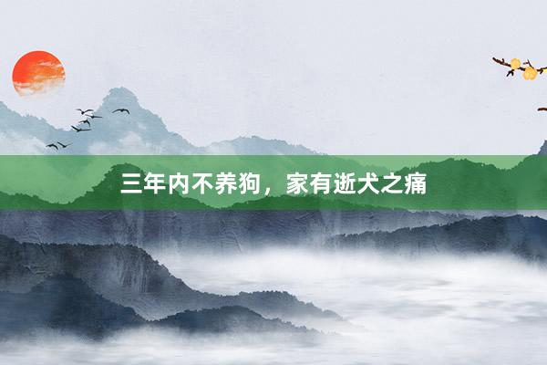 三年内不养狗，家有逝犬之痛