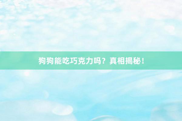 狗狗能吃巧克力吗？真相揭秘！