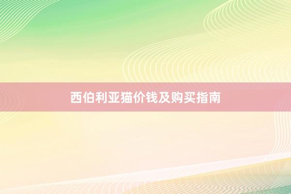 西伯利亚猫价钱及购买指南