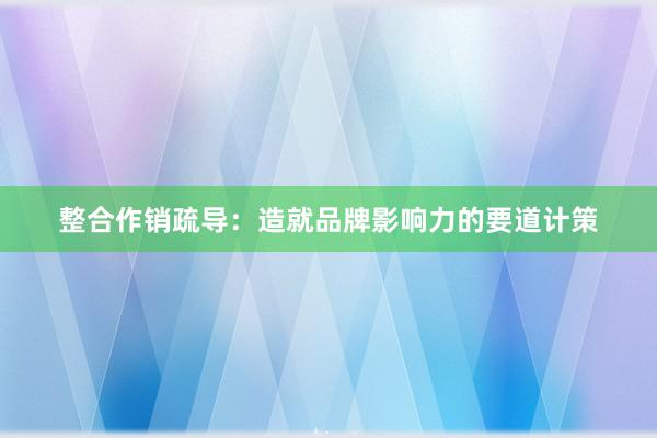 整合作销疏导：造就品牌影响力的要道计策